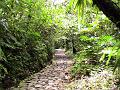 20a - Chutes du Carbet 005